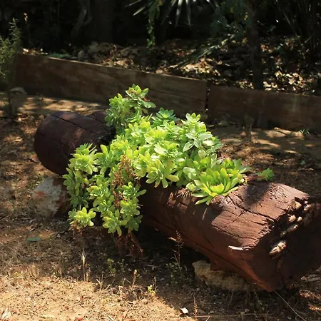 By The Sea Zdrelac, Pasman - 8299 Ždrelac