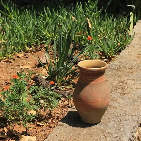 Apartamento By The Sea Zdrelac, Pasman - 8299 Ždrelac